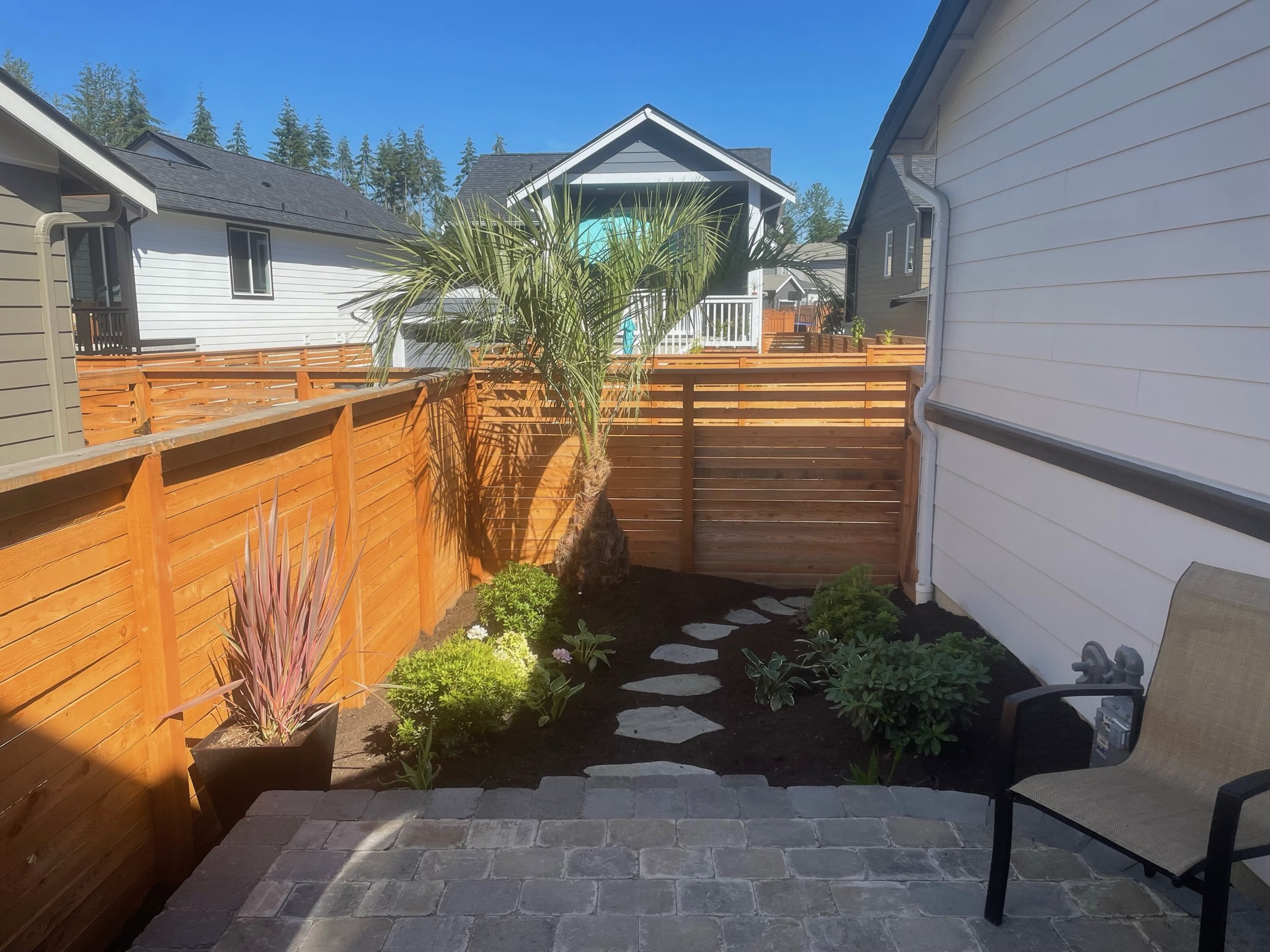 Modern patio with palm tree, stone pathway, and plantings by Todd's Nursery in Puyallup, WA
