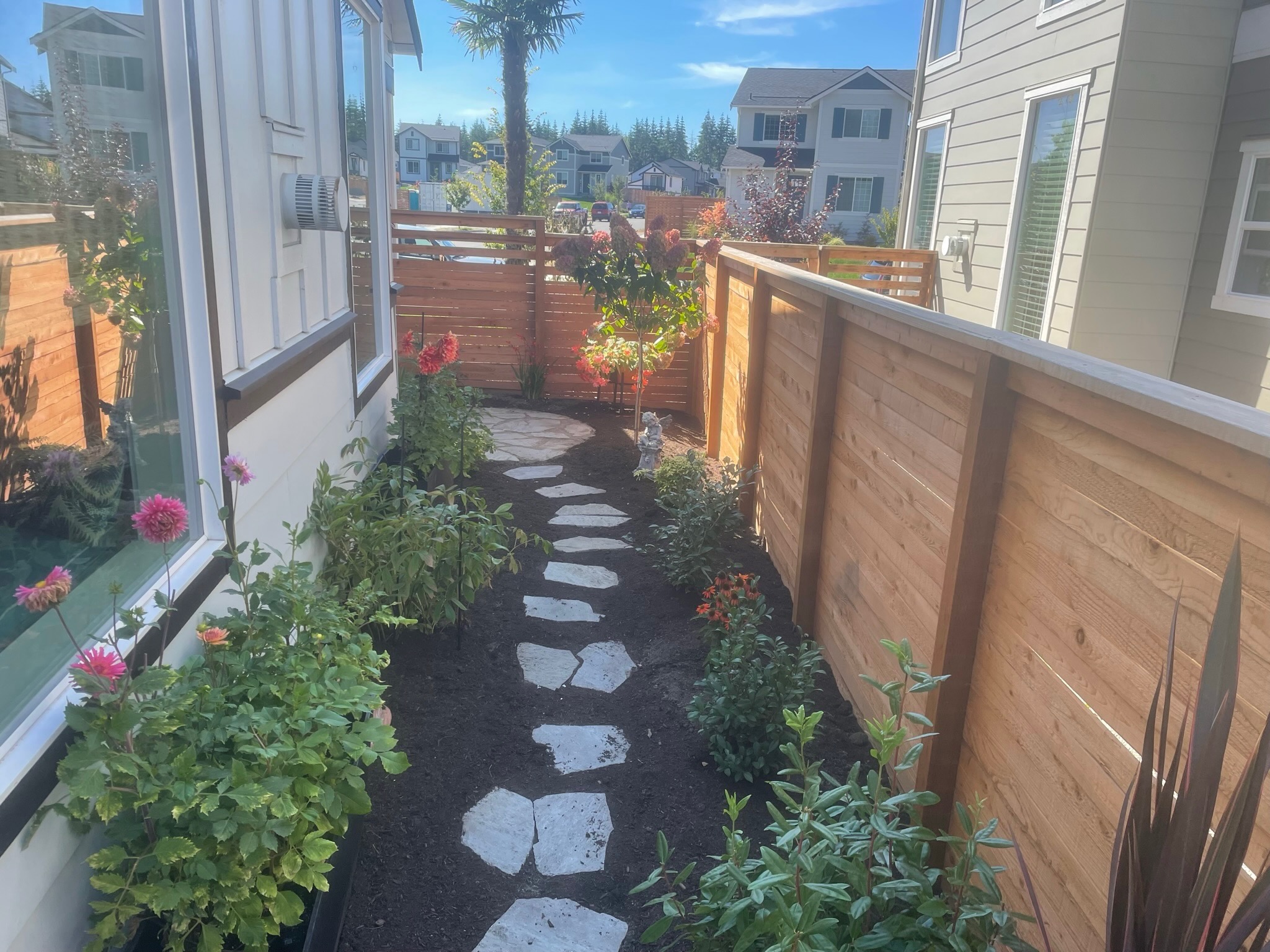 Garden pathway with stone pavers, dahlias, and wooden fence at Todd's Nursery in Puyallup, WA