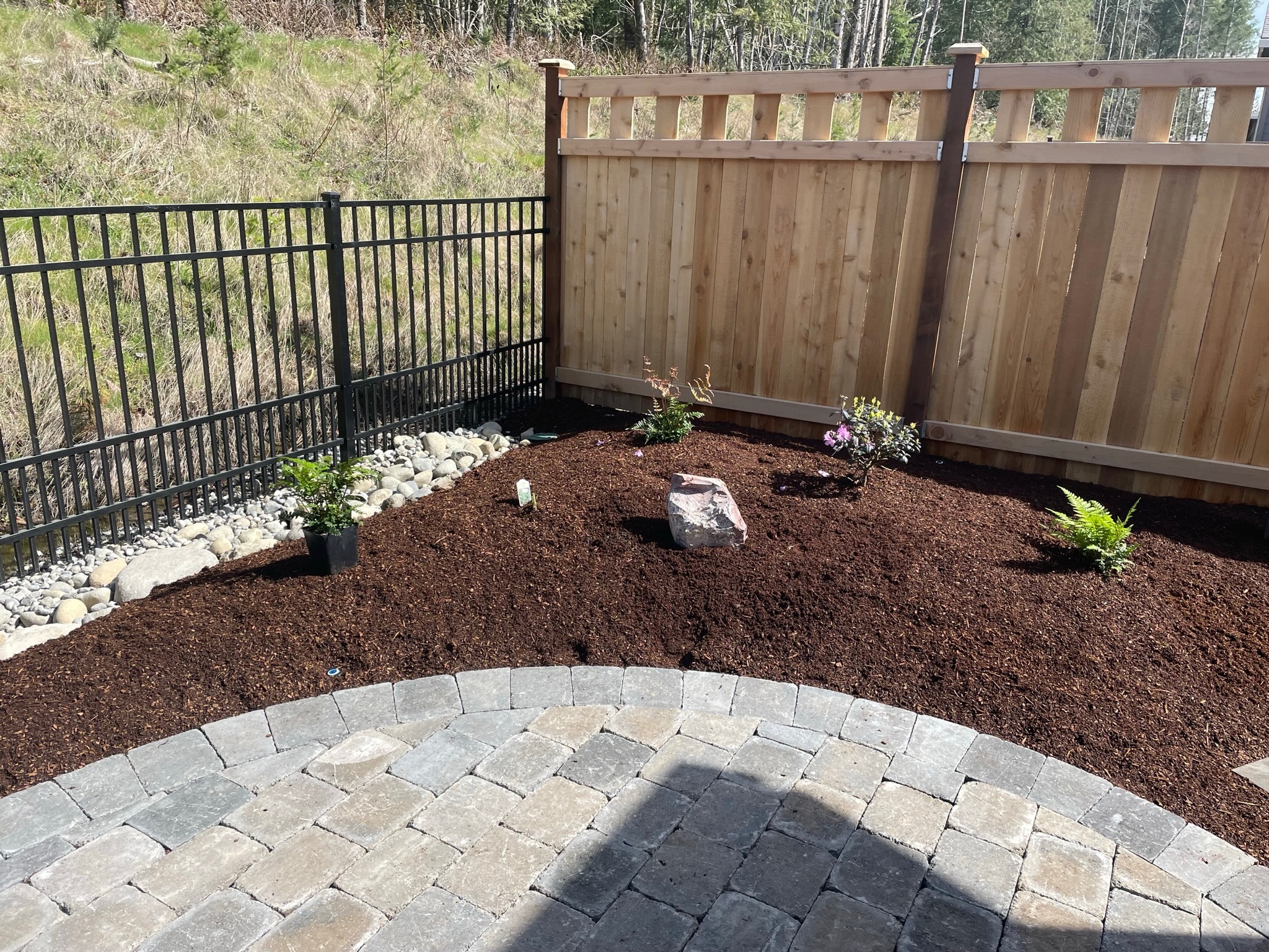 Patio with stone pavers, ferns, and mulch by Todd's Nursery in Puyallup, WA