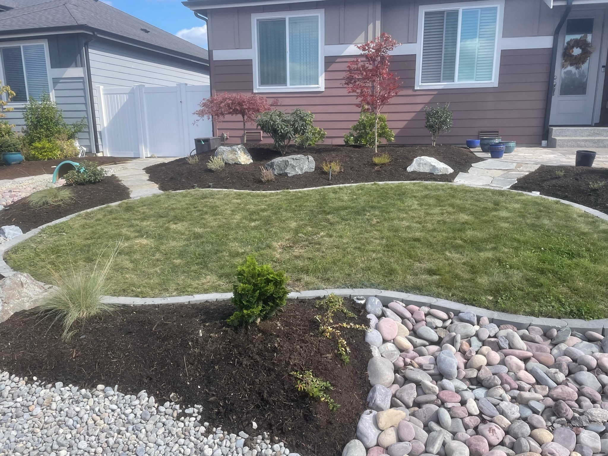 Front yard landscaping by Todd's Nursery in Puyallup featuring Japanese Maple, grass, and decorative stones.