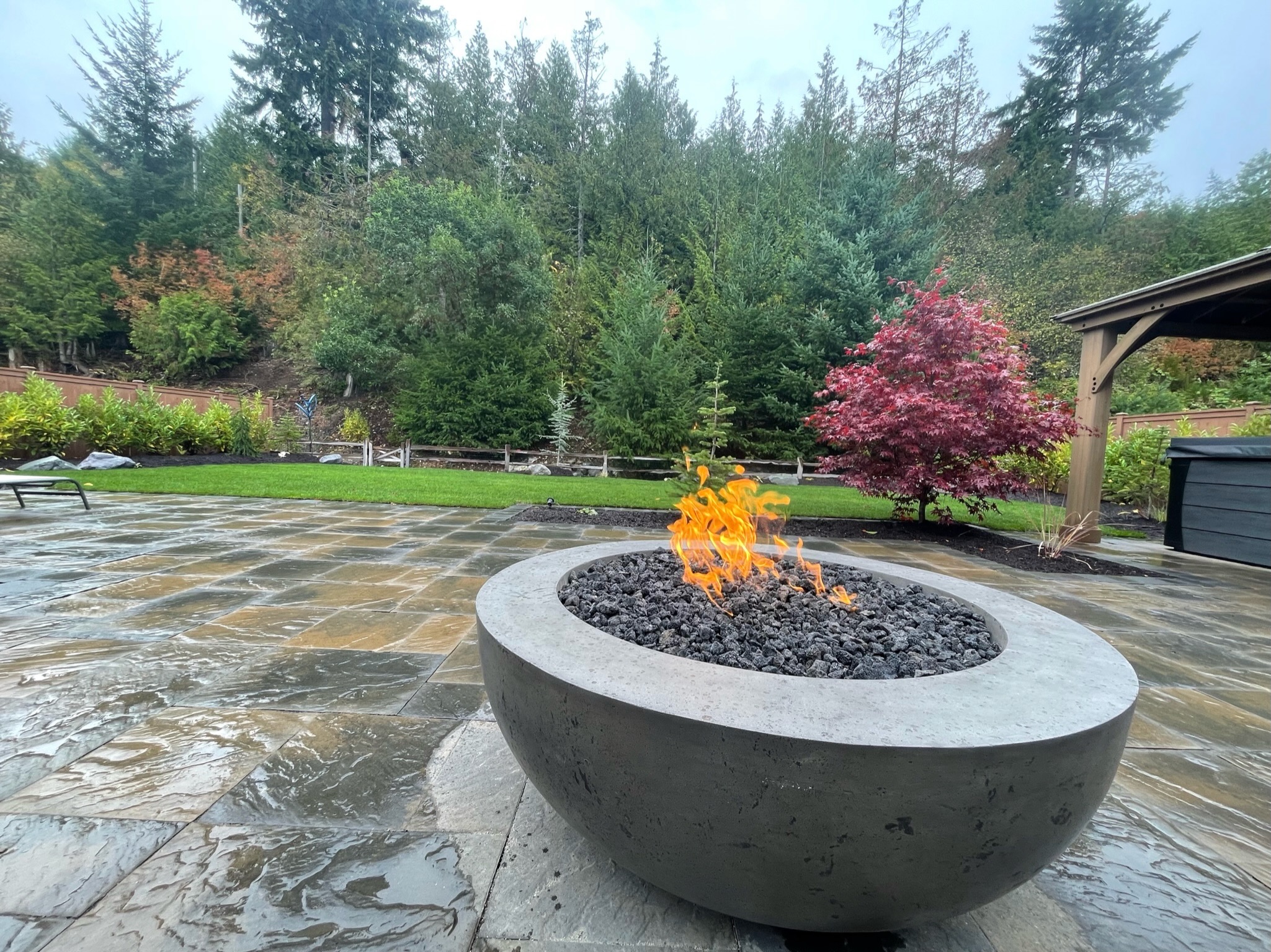 Modern patio with fire pit, maple tree, and lush greenery by Todd's Nursery in Puyallup, WA