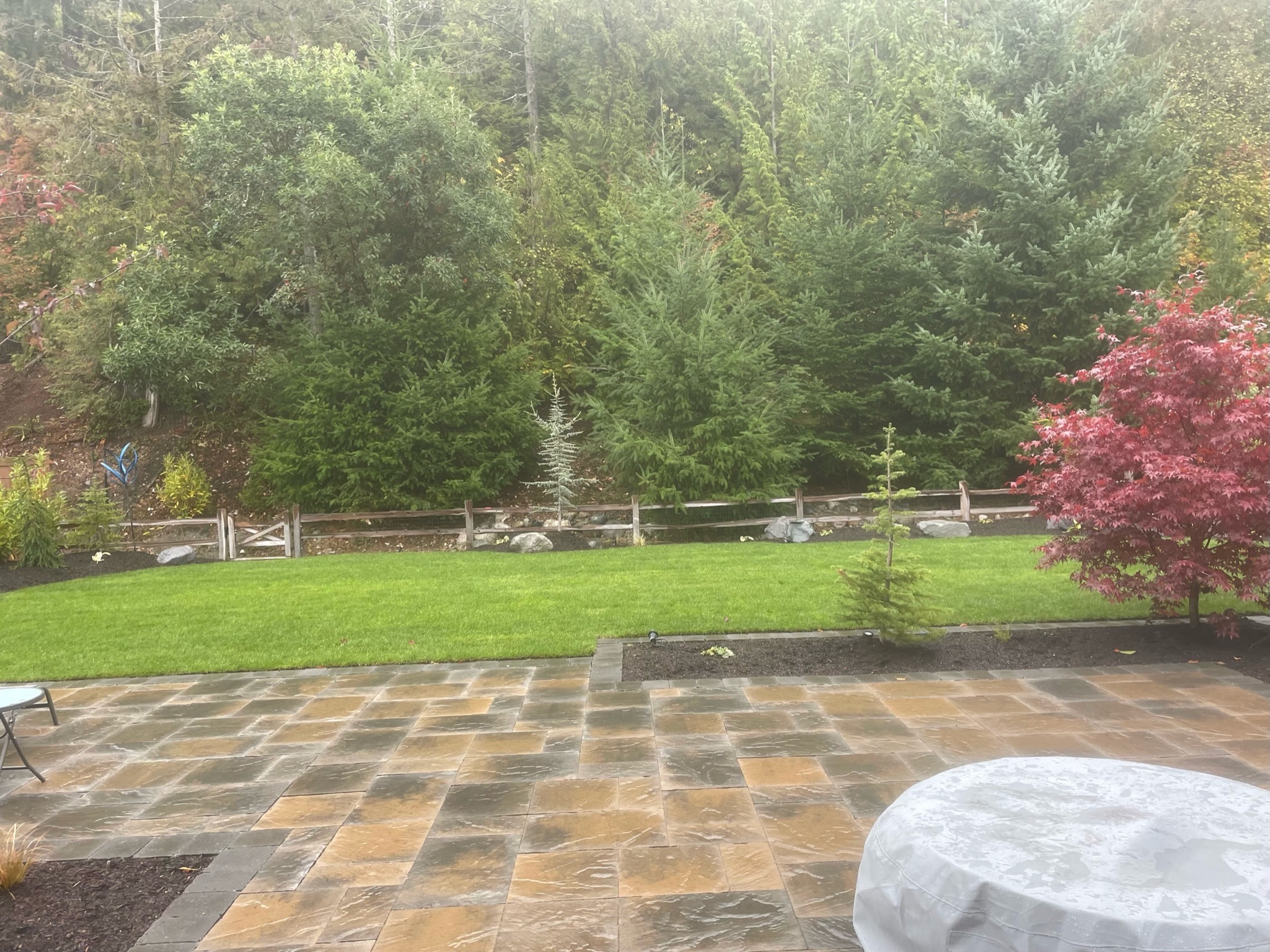 Patio with stone tiles, lush trees, and vibrant plants at Todd's Nursery in Puyallup, WA