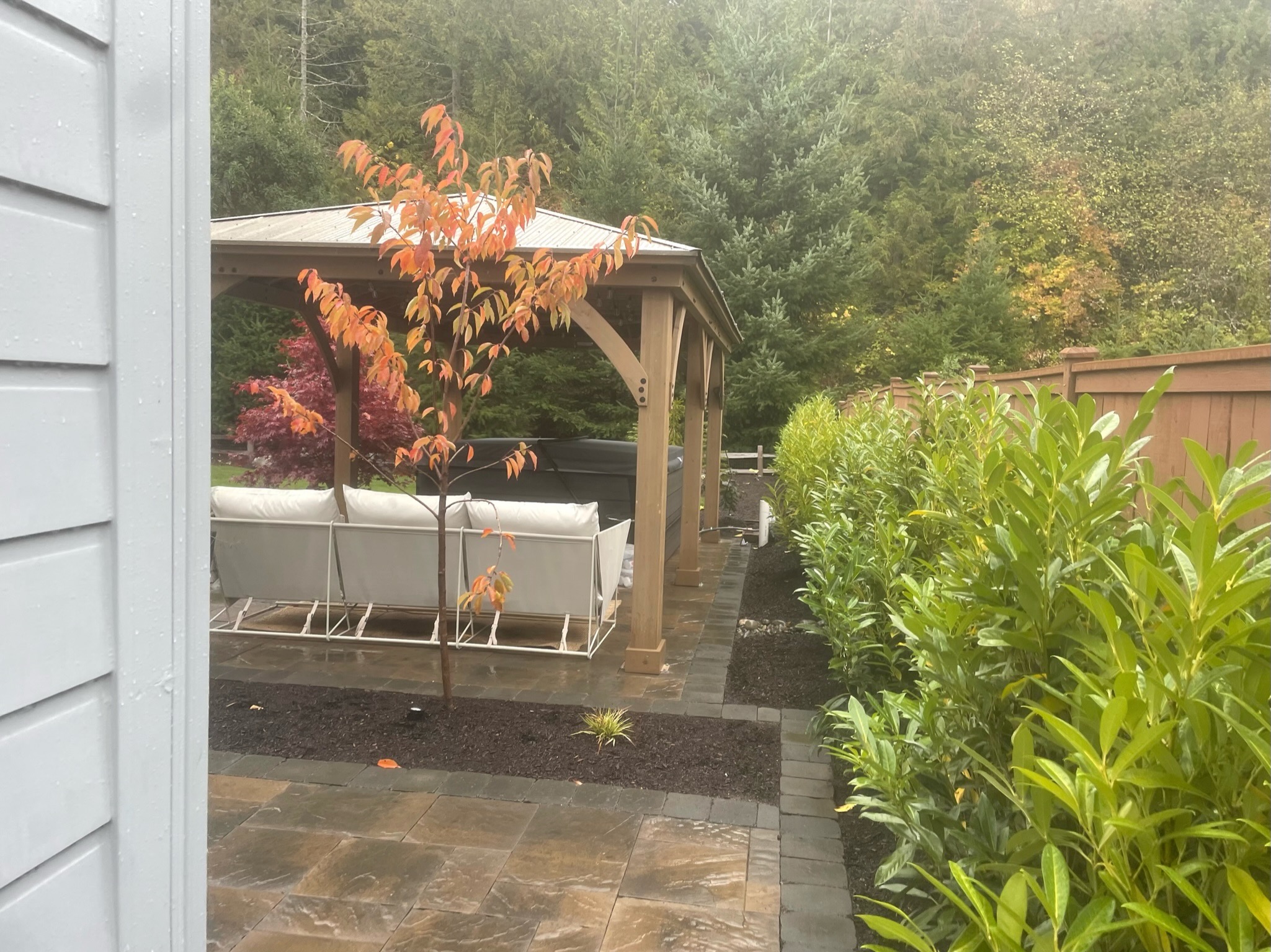 Patio with gazebo, cherry tree, and hedges at Todd's Nursery in Puyallup, WA