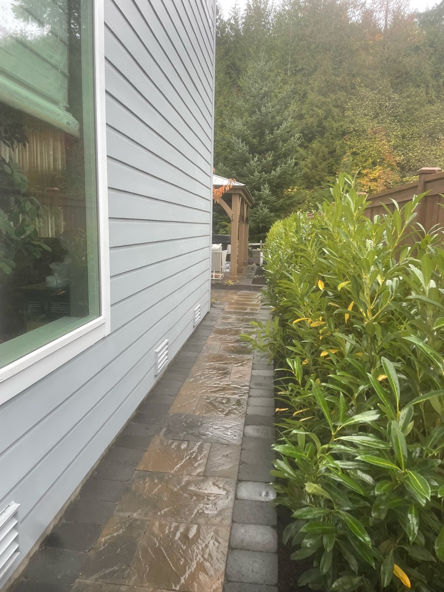 Stone patio walkway with evergreen hedges by Todd's Nursery in Puyallup, WA