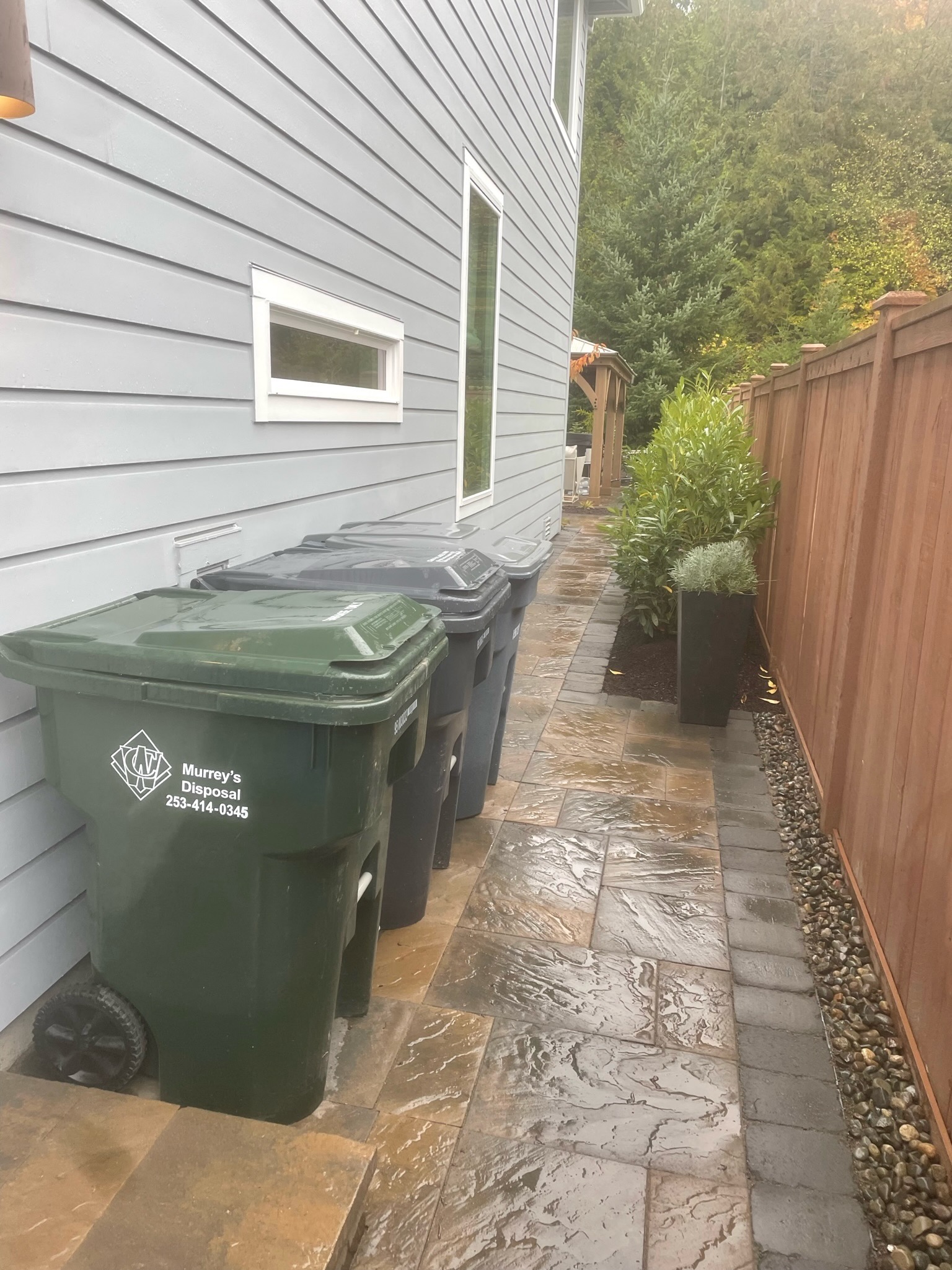 Stone pathway with evergreen shrubs by Todd's Nursery in Puyallup, WA