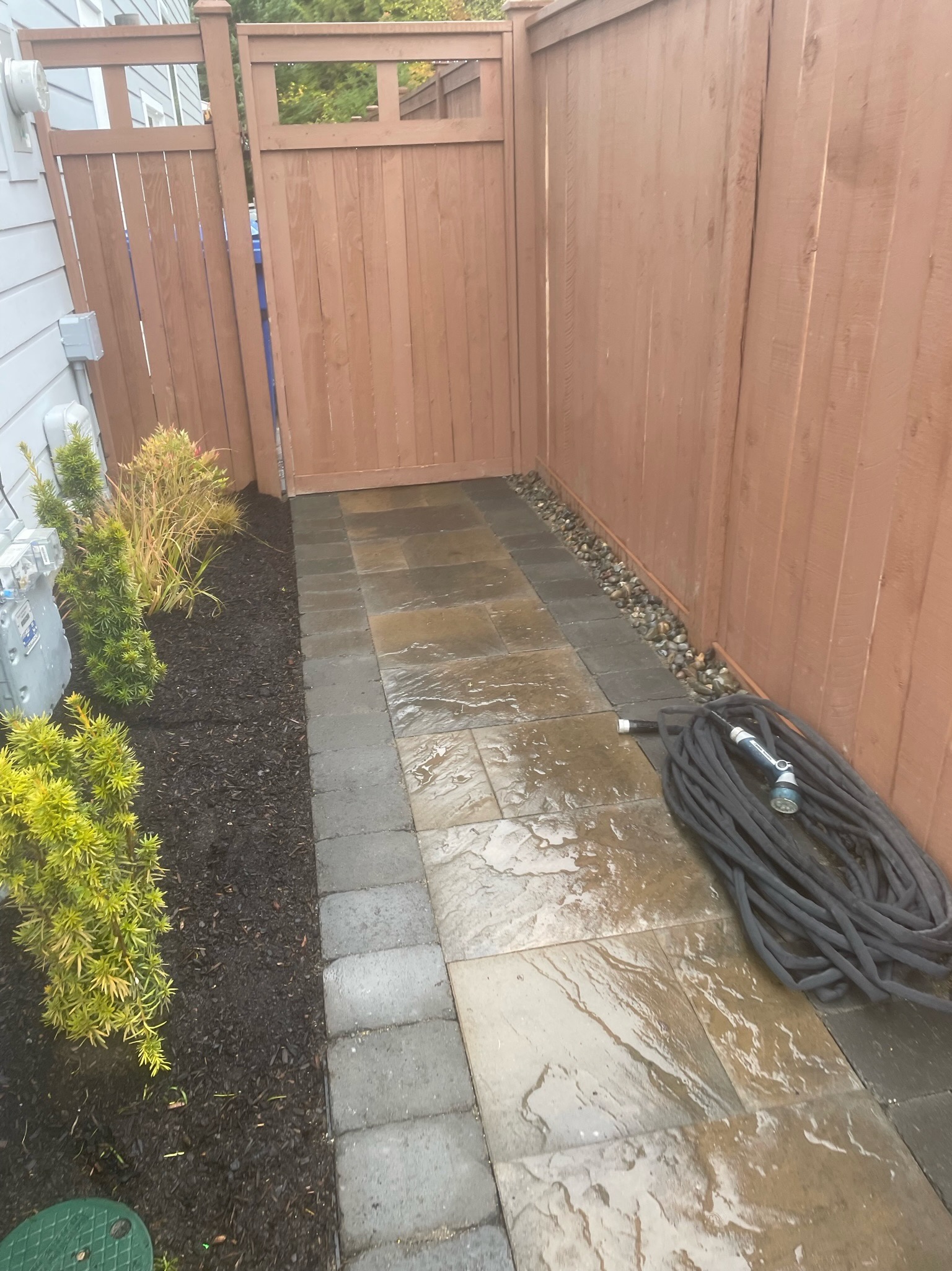 Stone pathway with cedar fence and plantings by Todd's Nursery in Puyallup, WA