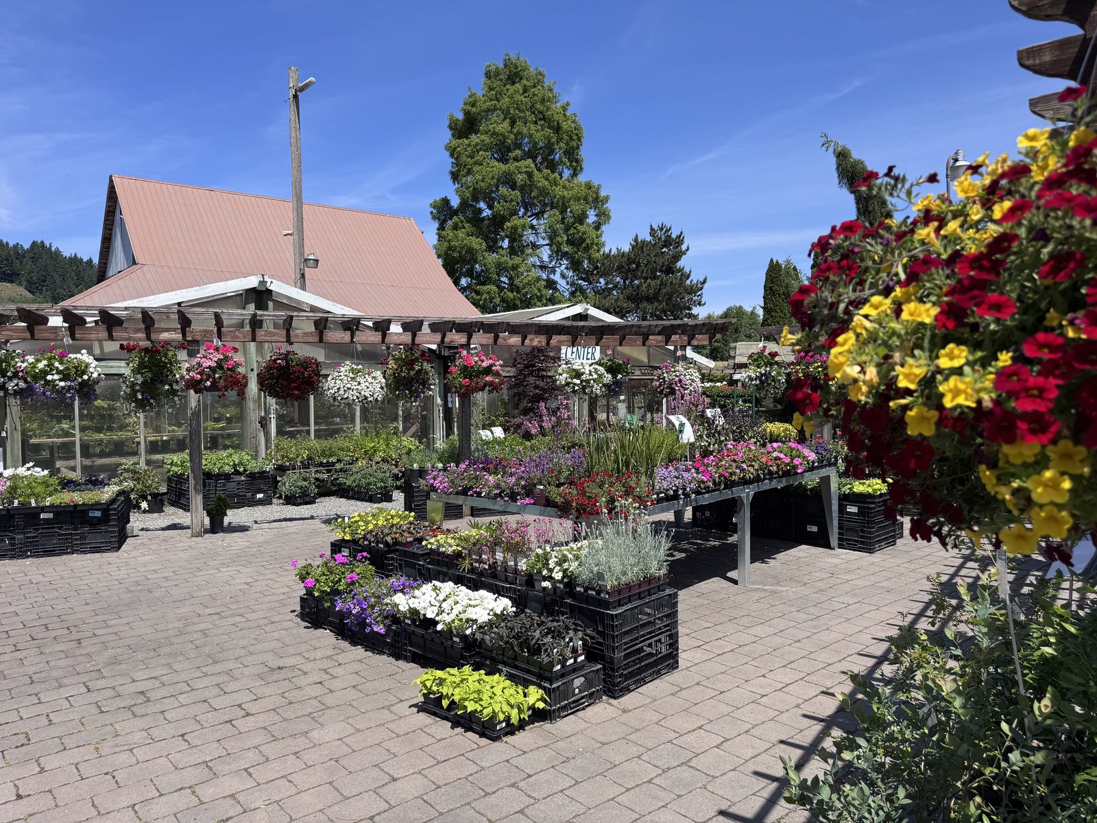 Todd's 7-acre garden nursery in the Orting Valley near Puyallup
