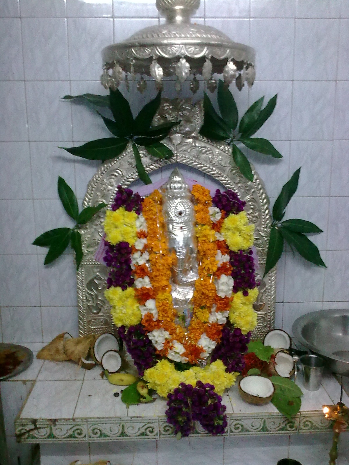 Description of Photo 1