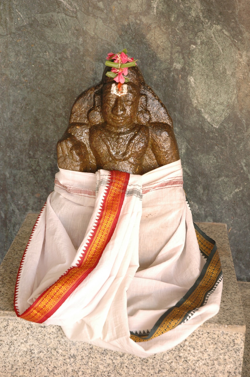 Image-27