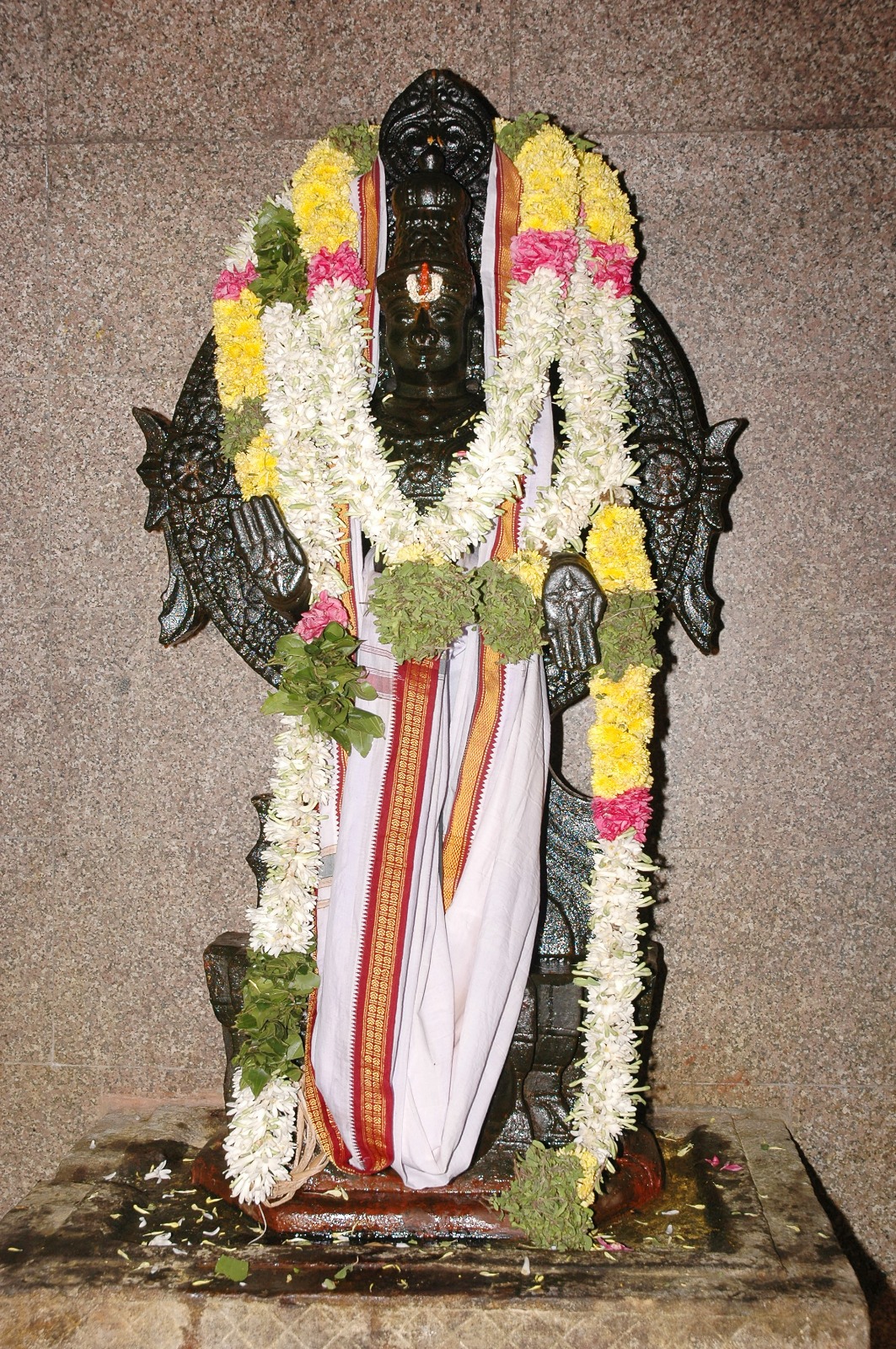 Image-25