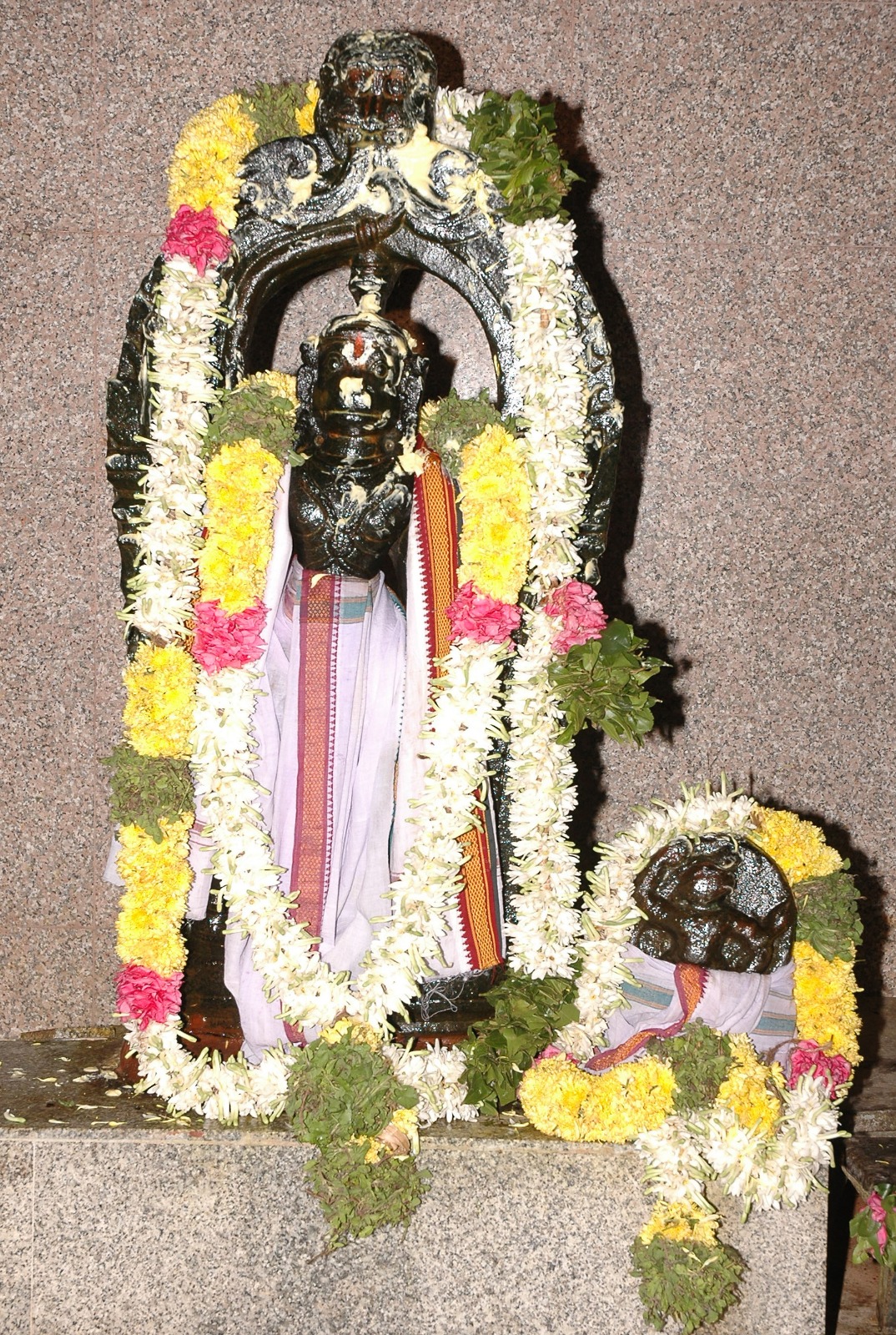 Image-22