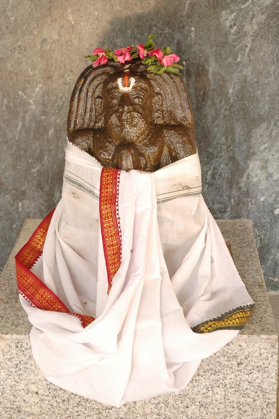 Image-19