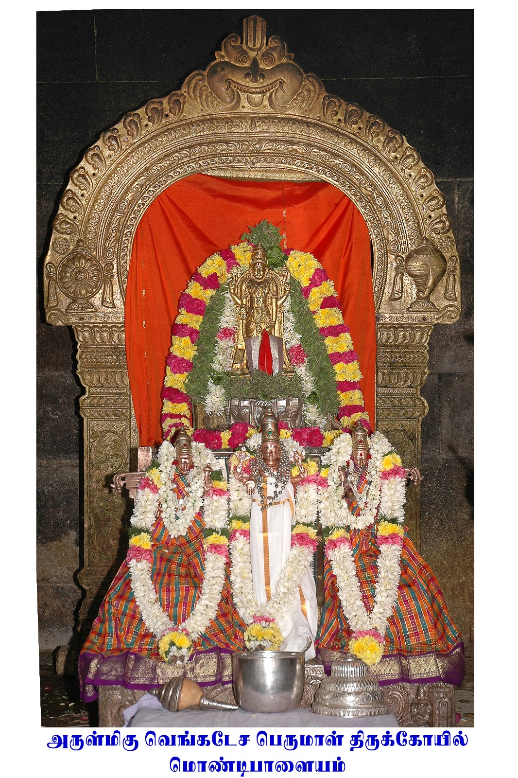 Image-17