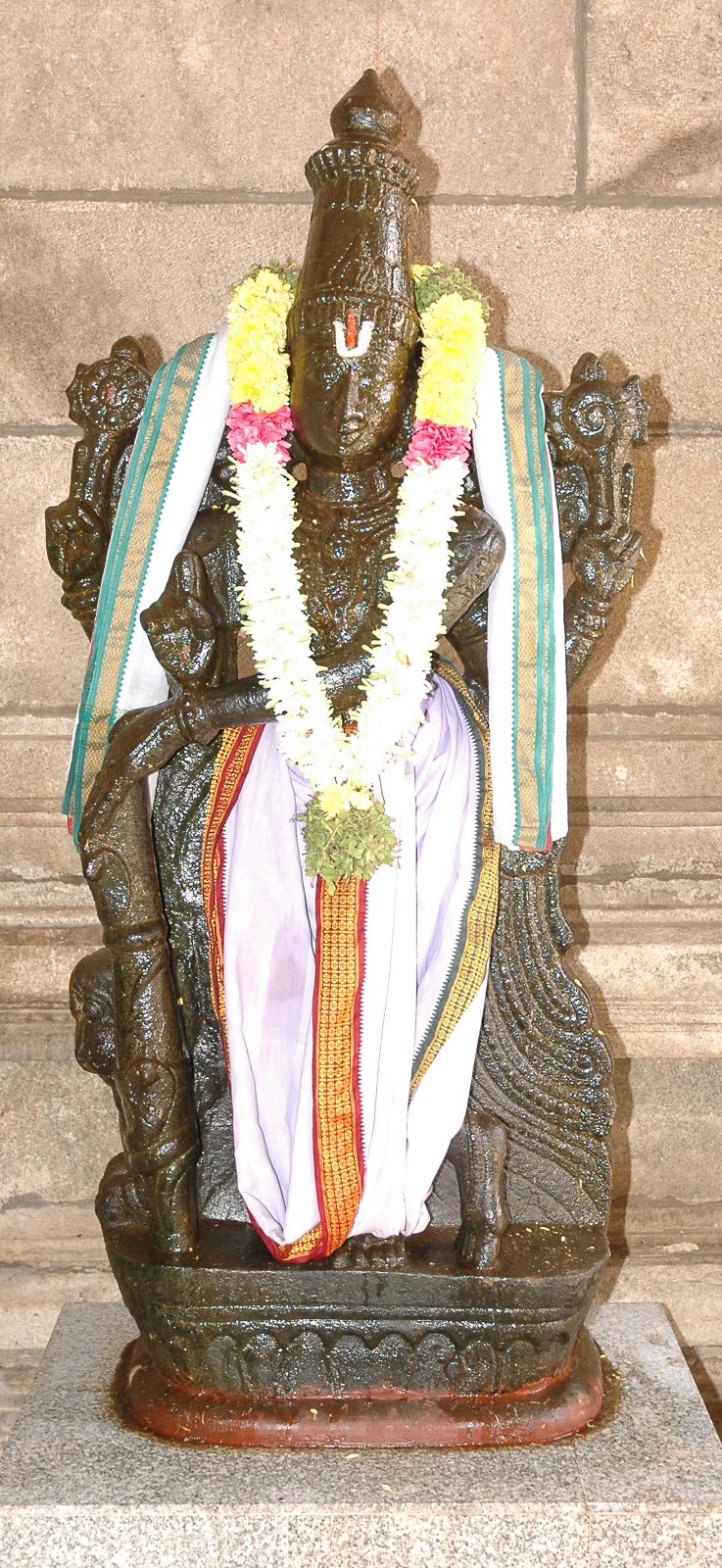 Image-11