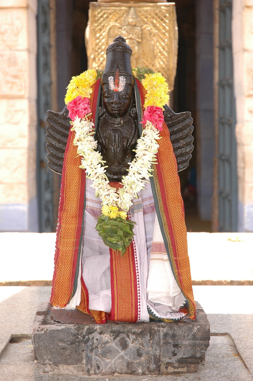 Image-14
