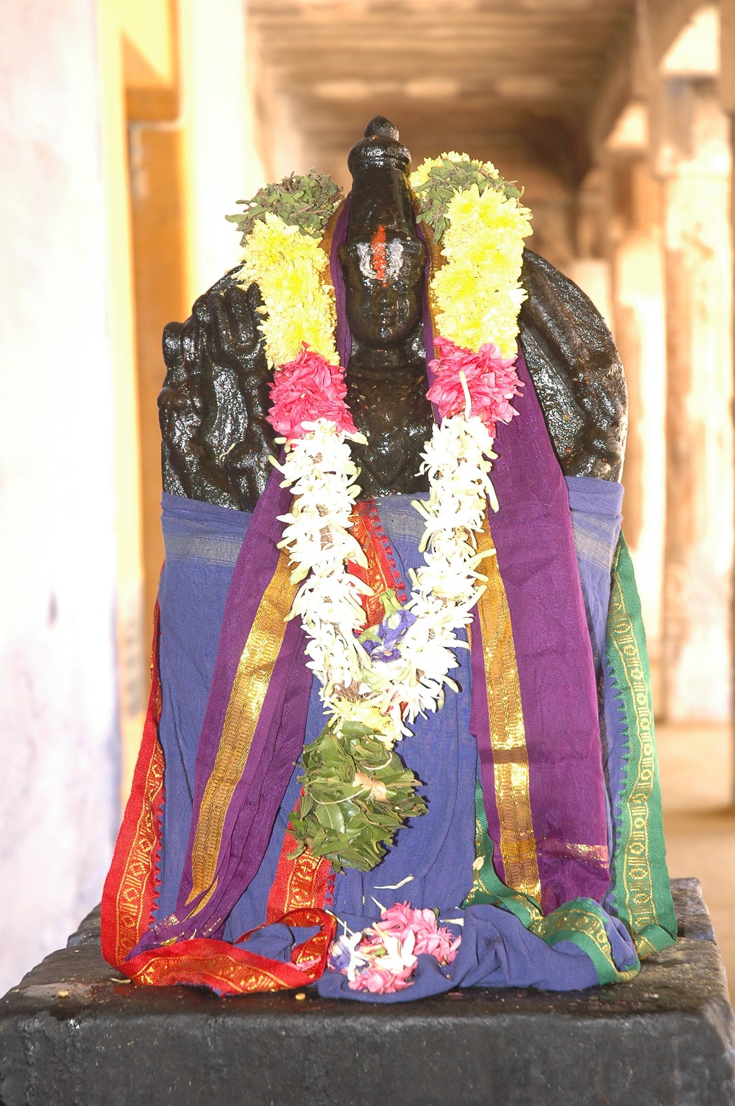 Image-12