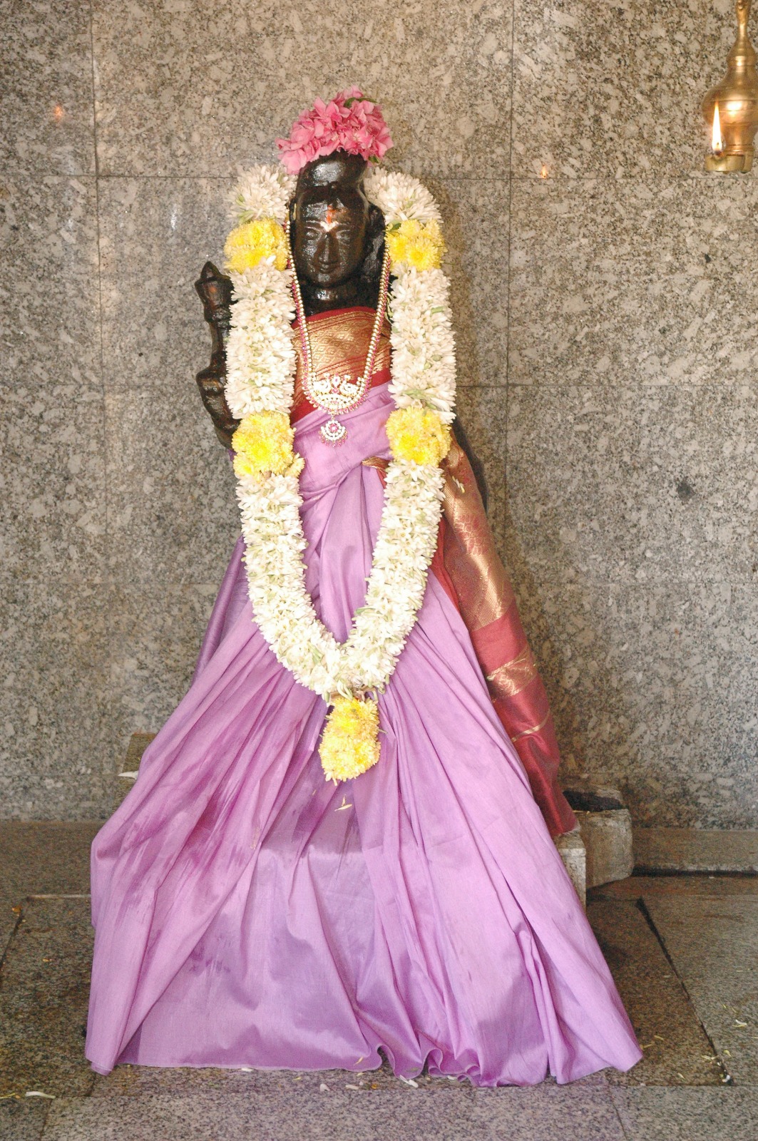 Image-8