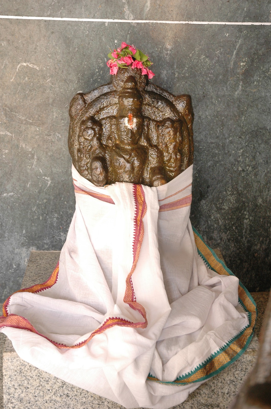 Image-4