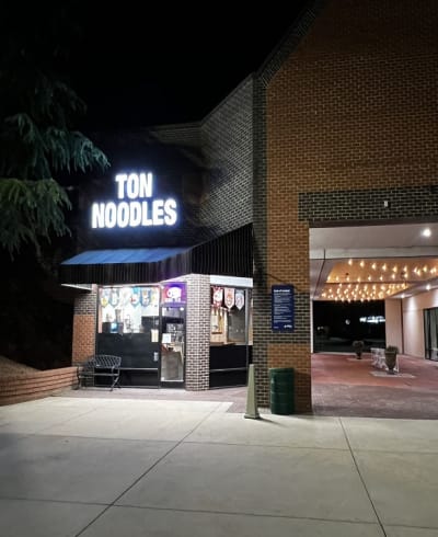 Ton Noodles