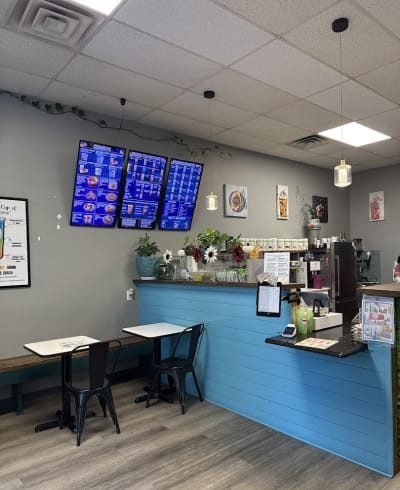 Healthy Spring Forest