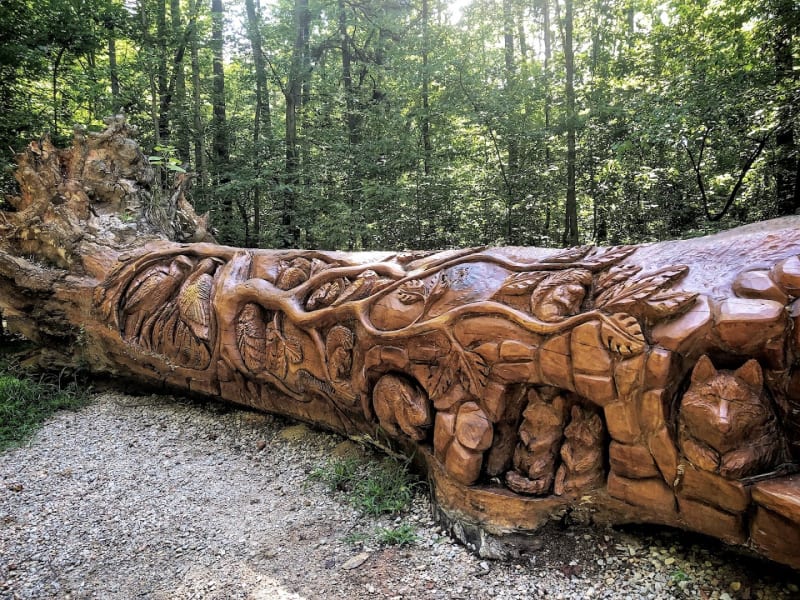 William B. Umstead State Park