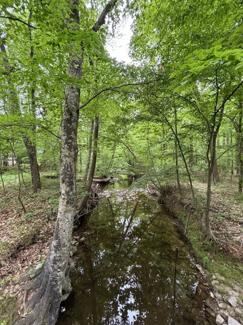 East Fork Mine Creek Trail Head