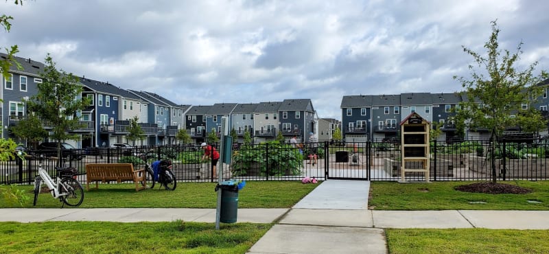 The Community Garden at 5401 North