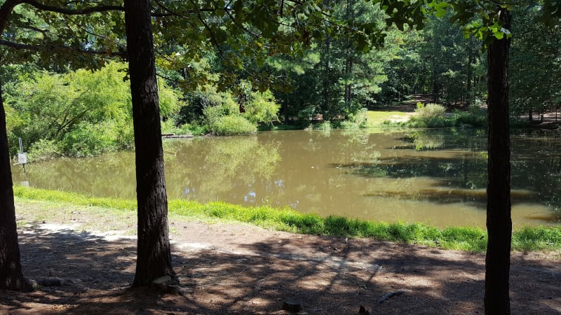 Cedar Hills Baseball Field