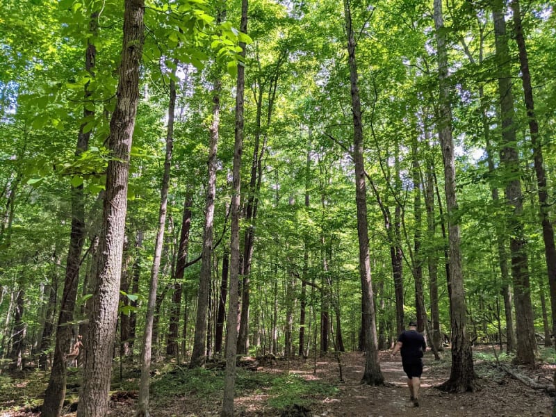 Sal's Branch Trailhead