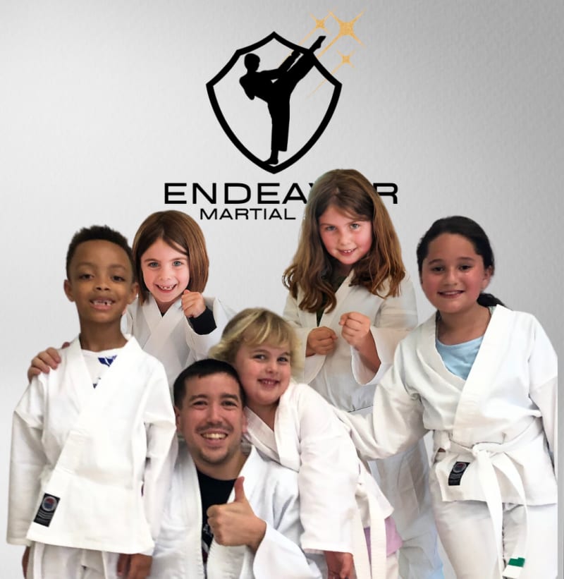 Endeavor Martial Arts - Gracie Brier Creek