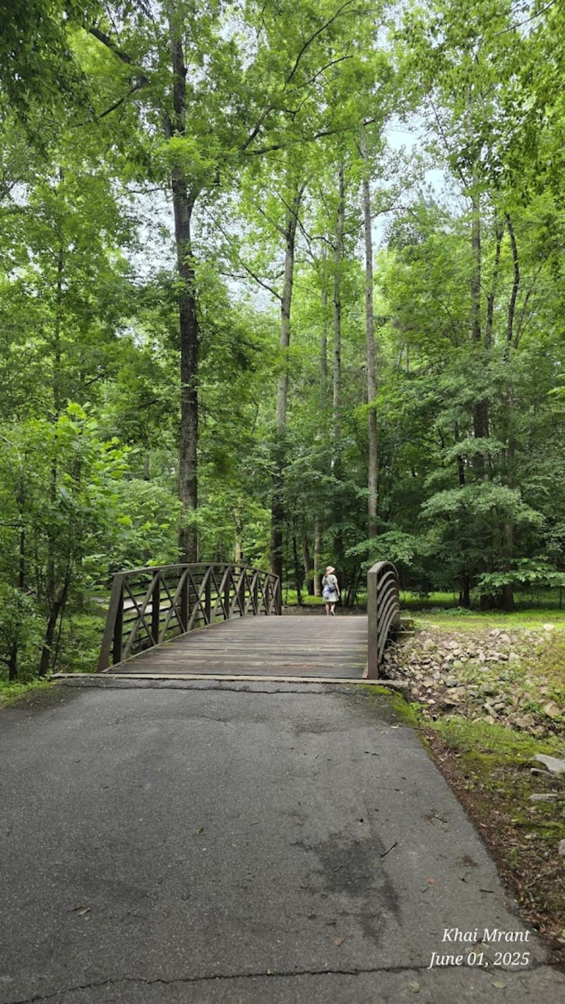 Mine Creek Trail, Sawmill Rd Access, Greenway