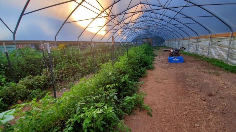 The Well Fed Community Garden