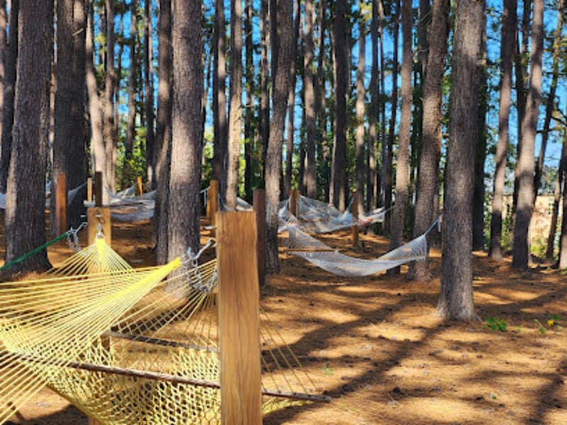 Dorothea Dix Hammock Area