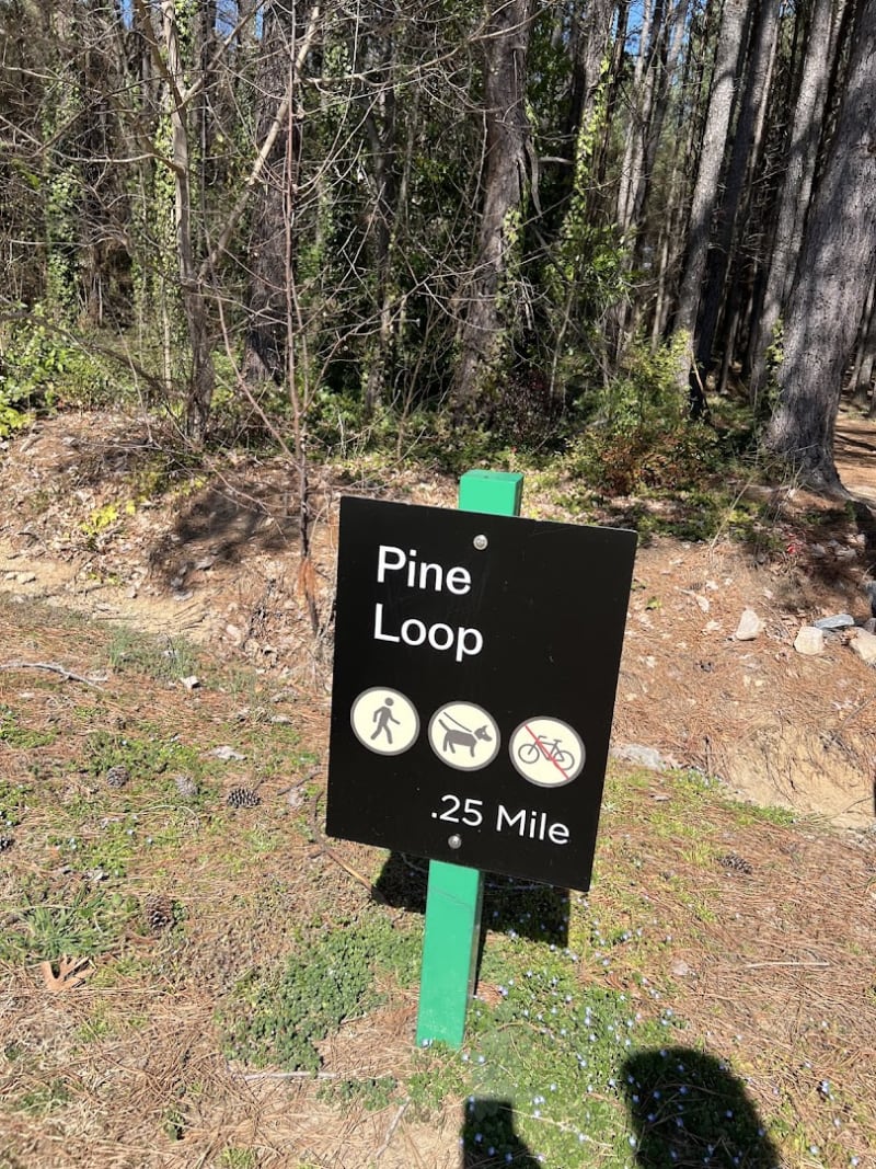 Pine Loop