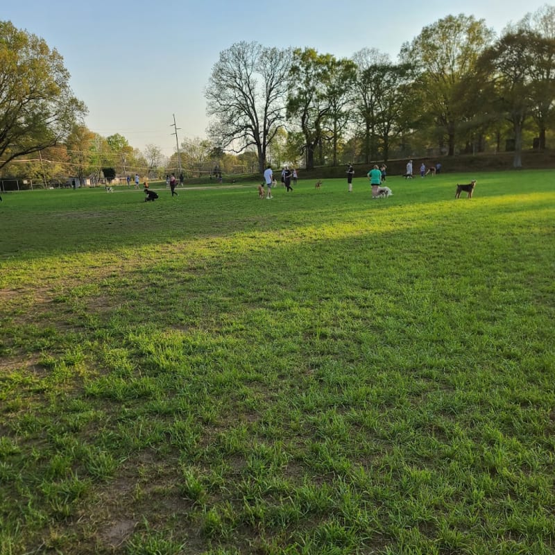 Dog Park at Dix Park