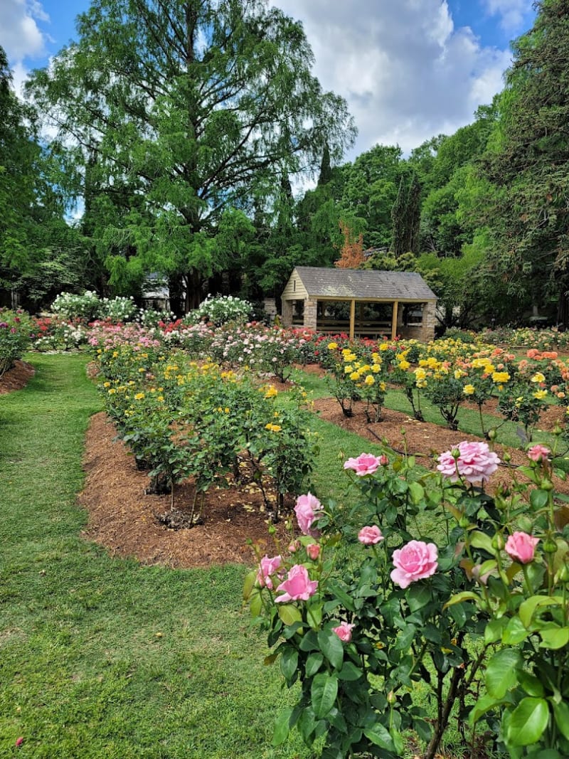 Rose Garden
