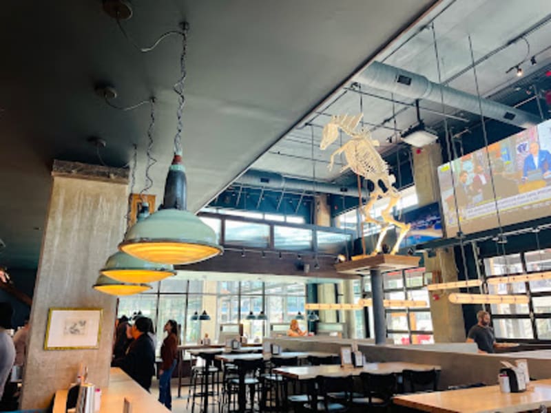 Ponysaurus Brewing Co.