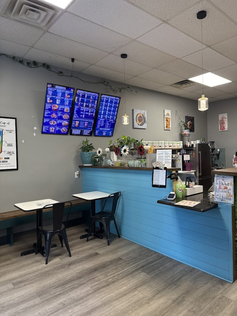 Healthy Spring Forest