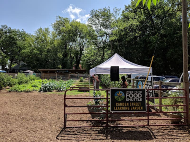 Camden Street Learning Garden
