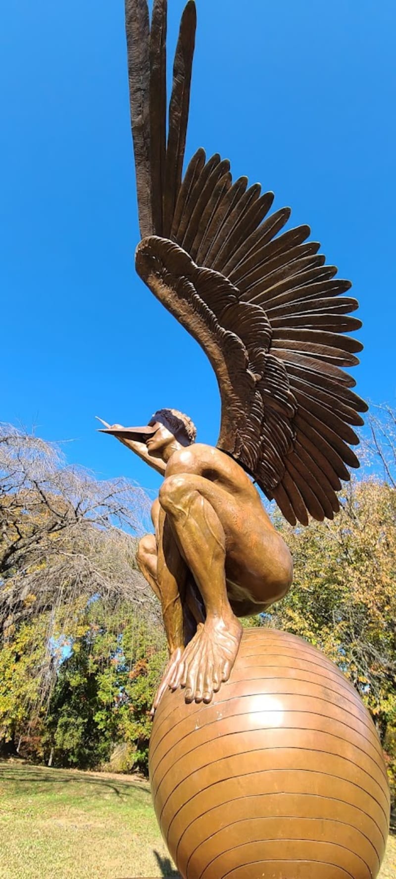 Harvey Hill at Dix Park