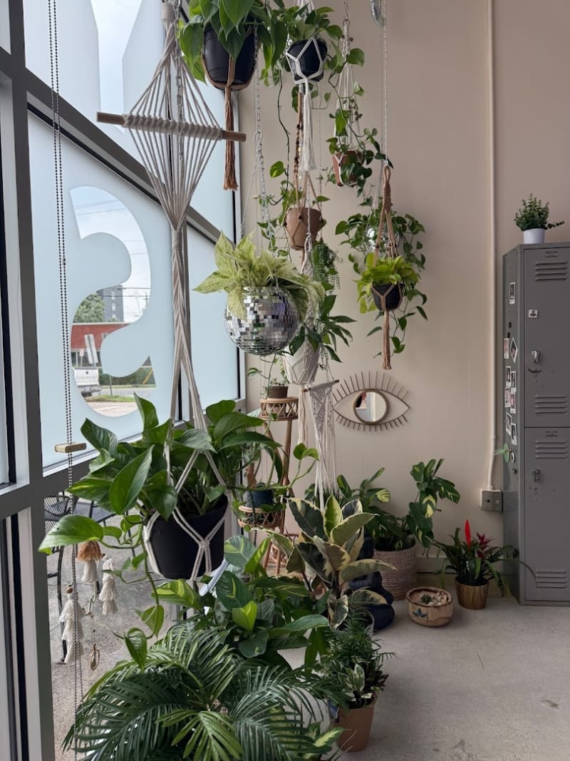 YOGA SOUL•LEC•TIVE