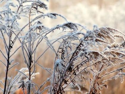 Борис Кубай рассказал, как завершится январь в Приморье