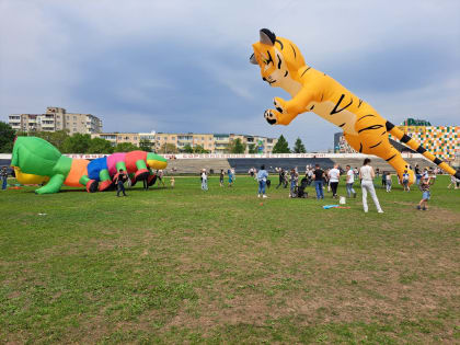 В Арсеньеве состоялся Улетный фестиваль «Небо на ладони»