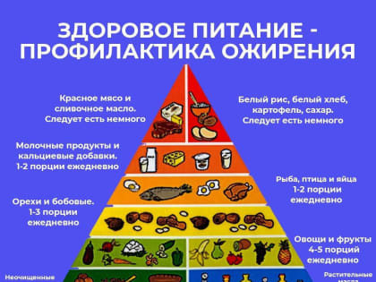 С 8 апреля по 14 апреля 2024 года пройдет акция «Неделя подсчета калорий»