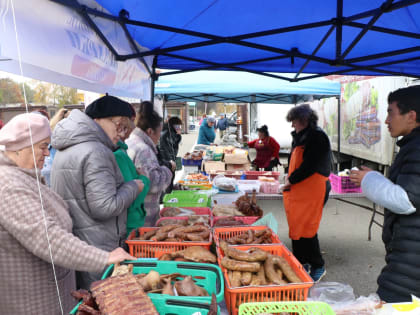 Сельскохозяйственная ярмарка в центре города