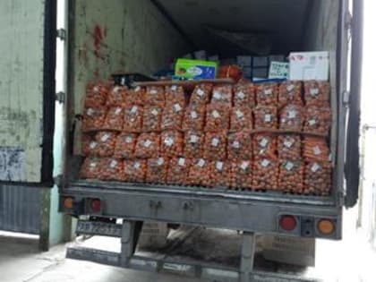 Почти 38 тысяч тонн овощей и фруктов оформили уссурийские таможенники с начала 2023 года