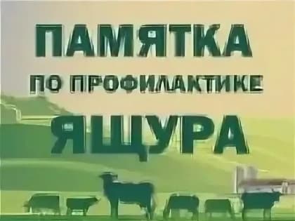 Не допустить распространения ящура