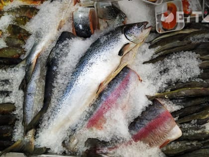 Рыба плывет мимо санкций: Россия продолжает зарабатывать на морепродуктах