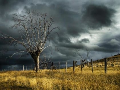 Снова возможны обильные дожди. Синоптики рассказали, когда ждать нового удара стихии