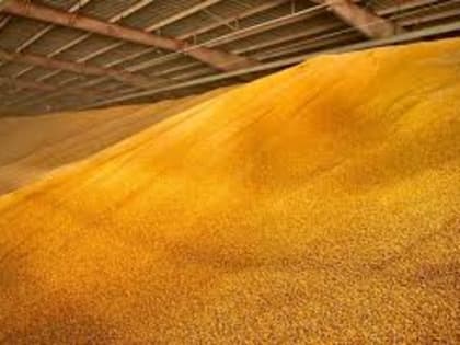 Трейдер Louis Dreyfus прекратит экспорт зерна из России с 1 июля